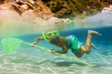 A Child In Snorkeling Gear