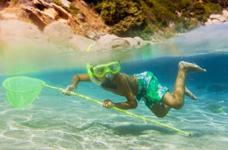 A Child In Snorkeling Gear