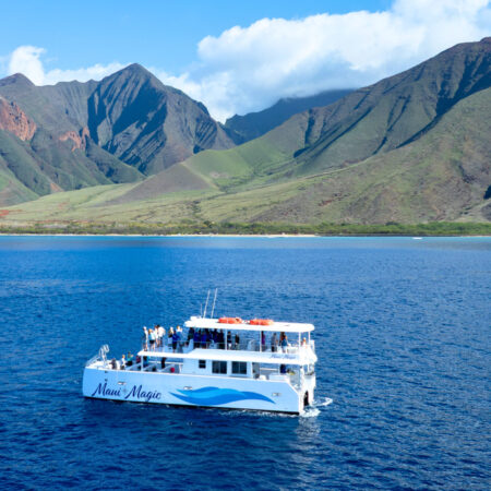 06649b73-ba8b-4c2b-a41d-c0fdb9e46d91