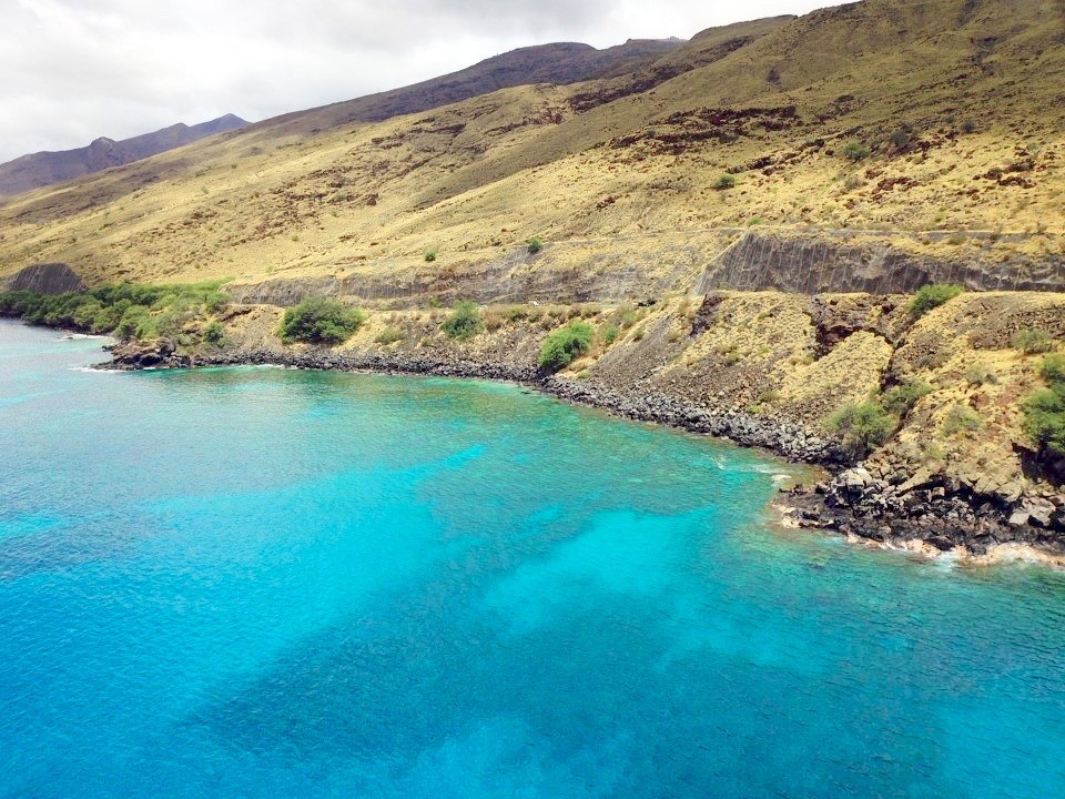 Coral Gardens