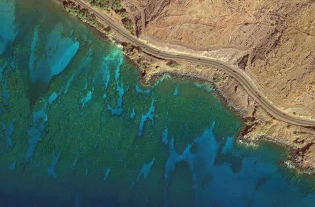 Coral Gardens Maui Four Winds Maui Snorkeling