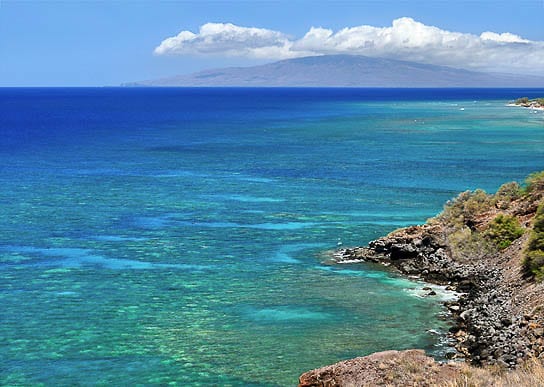 Coral_Gardens_Maui_Snorkeling_Secrets
