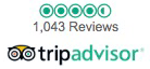 TripAdvisor Icon