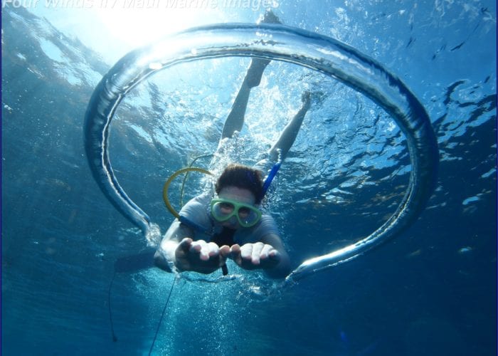 Experience The Snorkelling