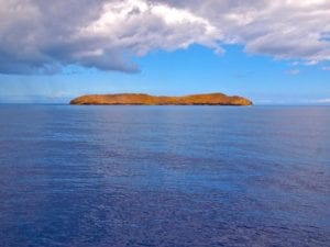 Four Winds Maui Molokini Crater Snorkel Guest shot