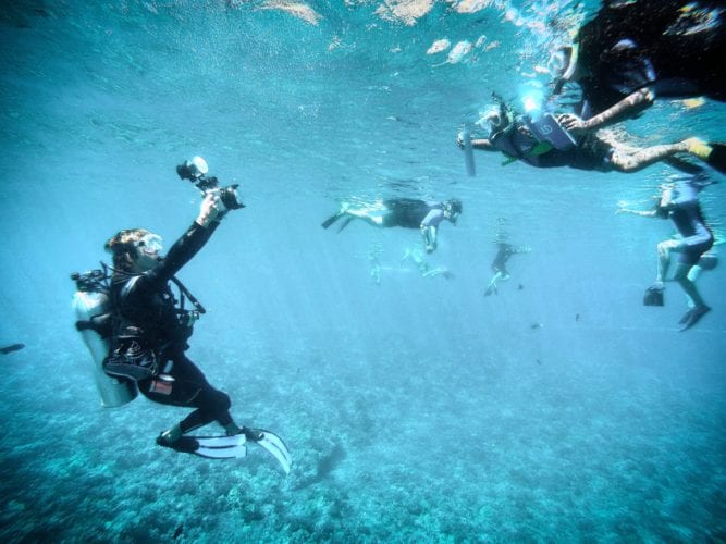 Underwater Photo & Video Services Four Winds Maui Snorkeling