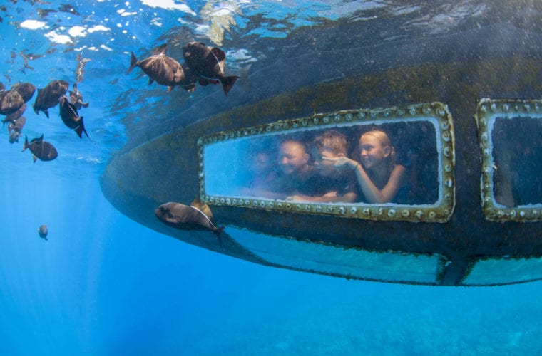 Glass Bottom Boat Snorkel