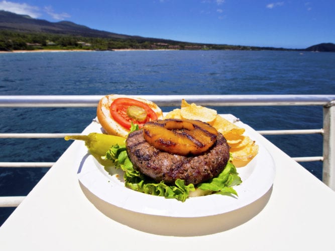 Maui Snorkel Tour Grilled Lunch