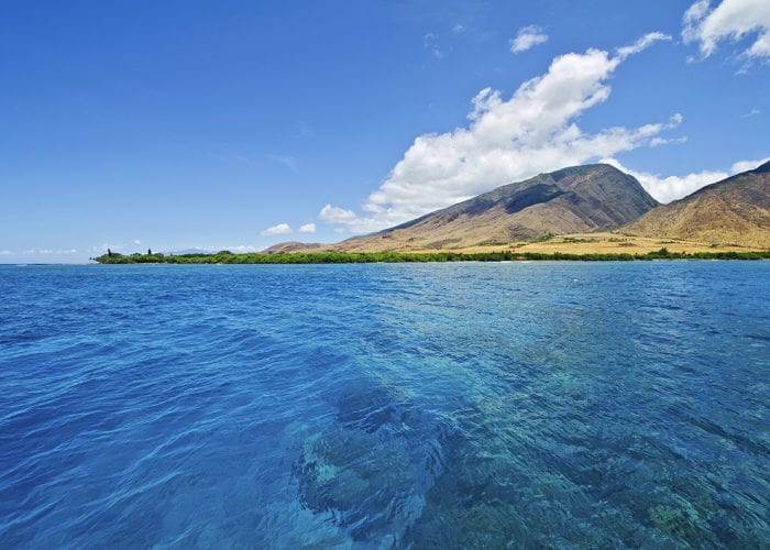 Maui Magic Olowalu