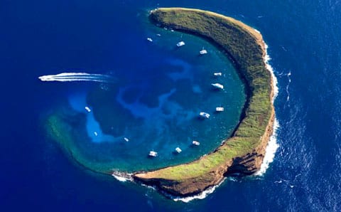 Molokini Crater