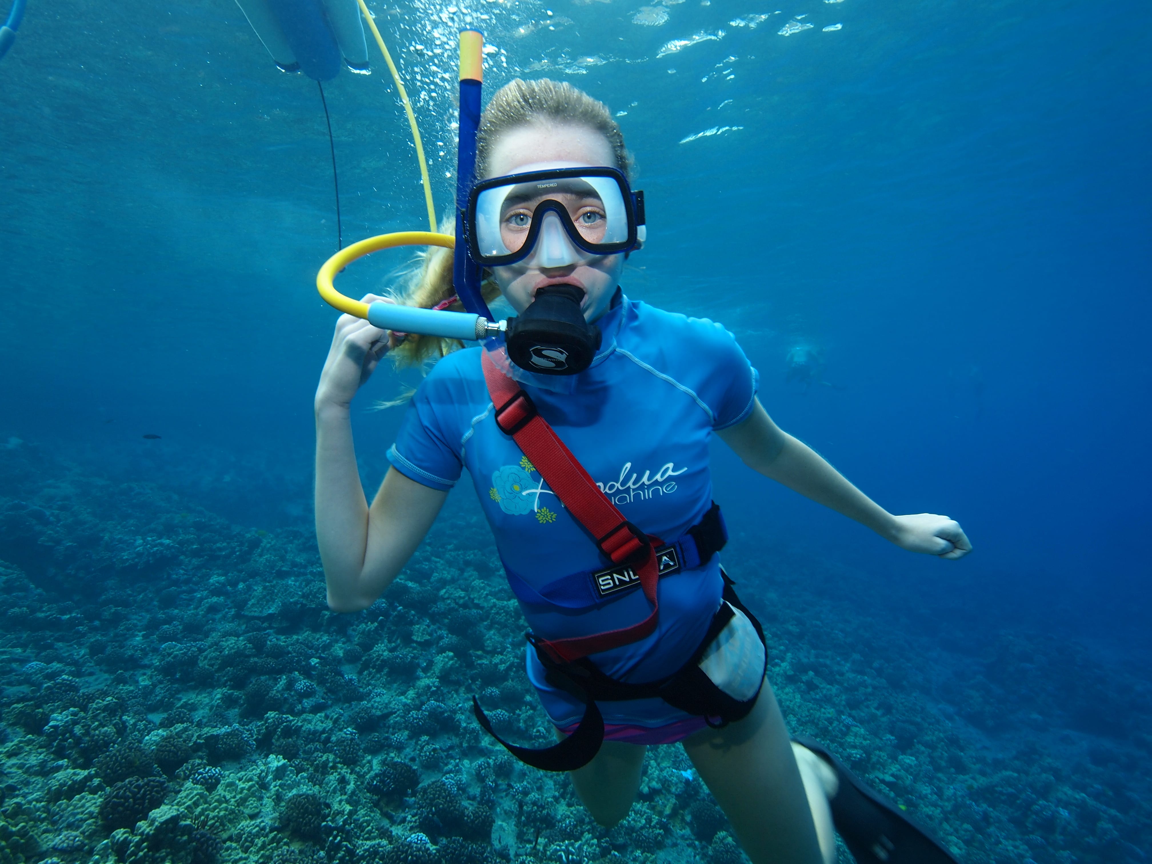 small snorkeling tours maui