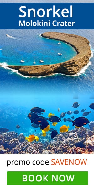 Maui Molokini Snorkel Tour