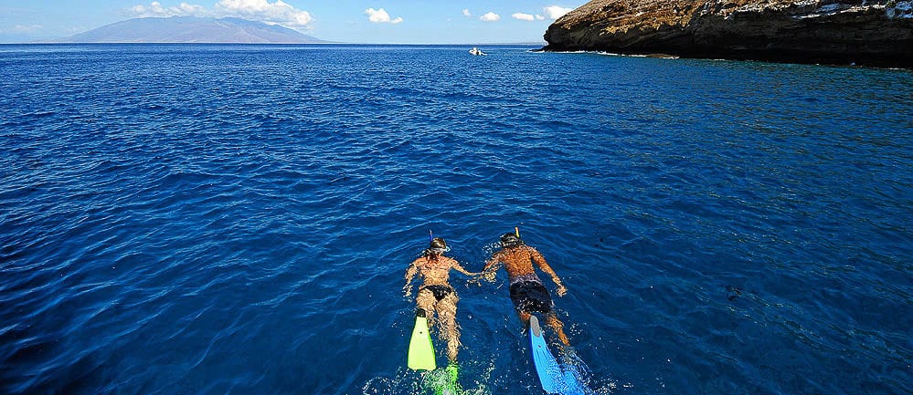 private boat charter maui maui private charter four winds ii private boat charter maui maui private charter four winds ii