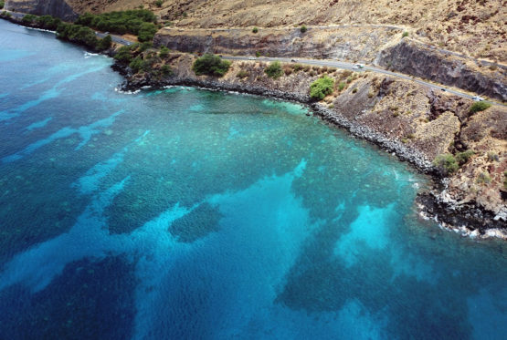 coralgardensarial-1200 coralgardensarial-1200