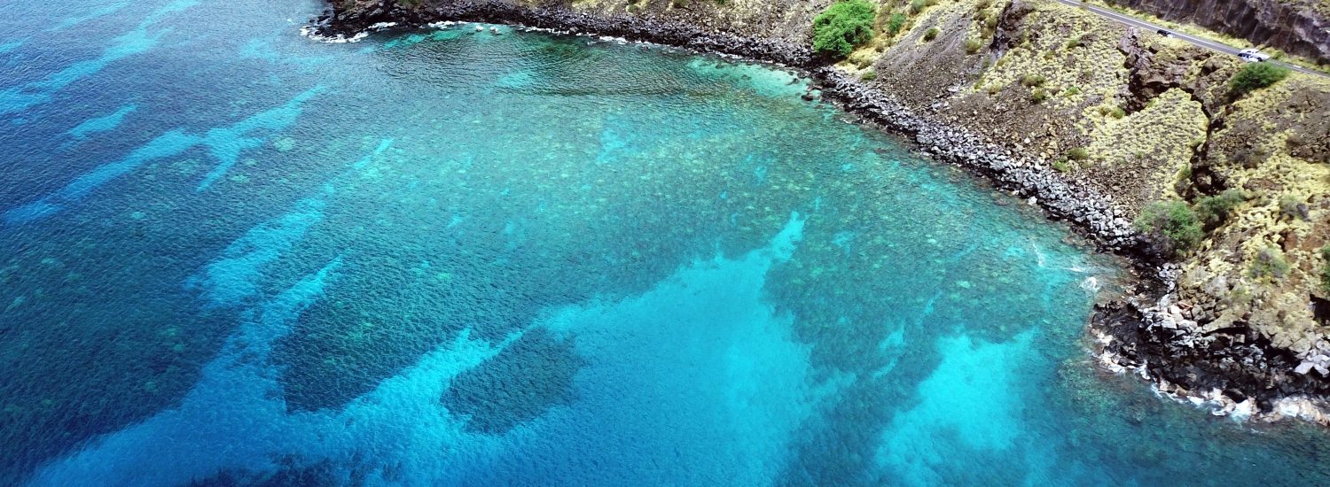 Molokini Maui Afternoon Snorkel