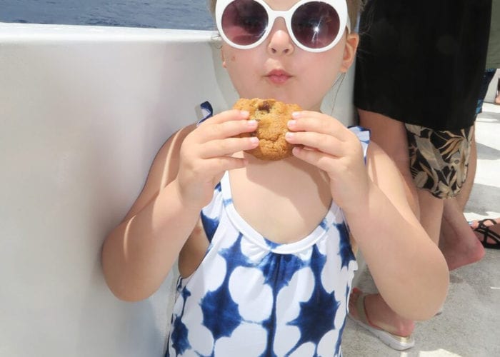 Young Girl With A Chocolate Chip Cookie