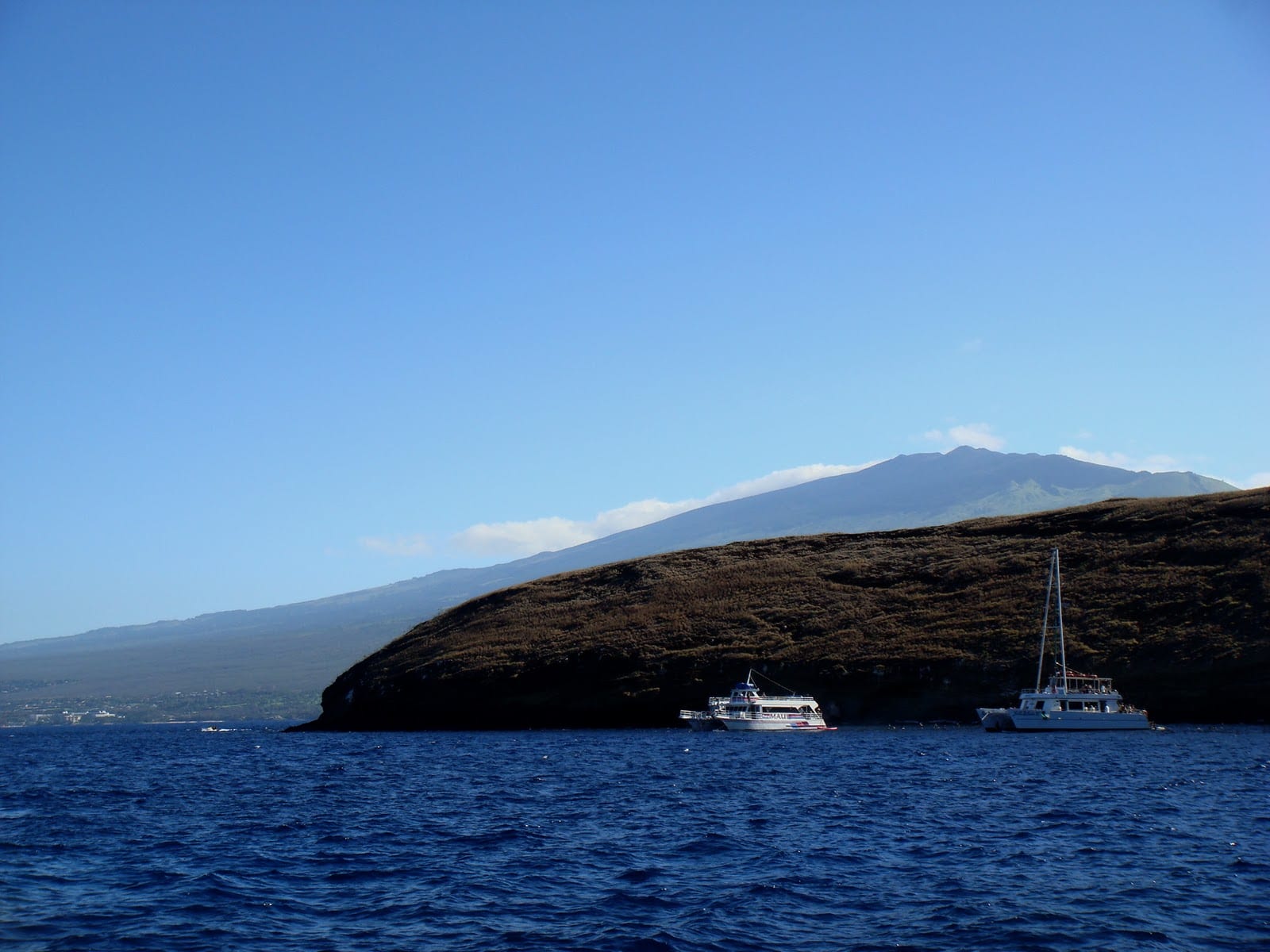 Four Winds II at Molokini Crater