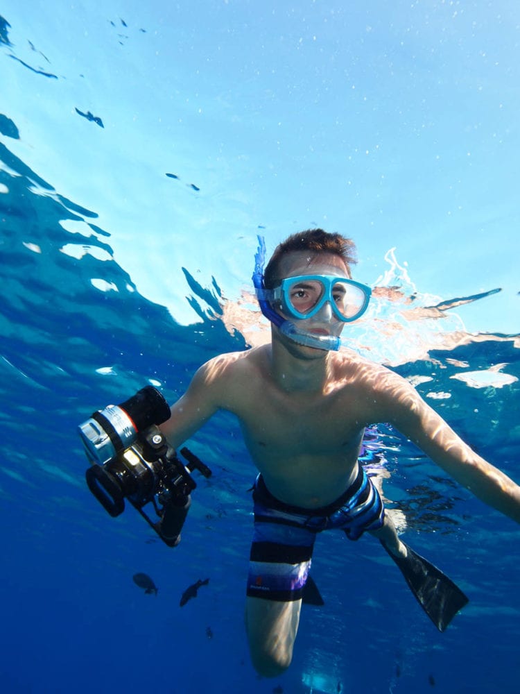 Coral Gardens Snorkeling Trip | Best Snorkeling in Maui - Four Winds