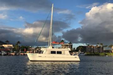 Boat In The River