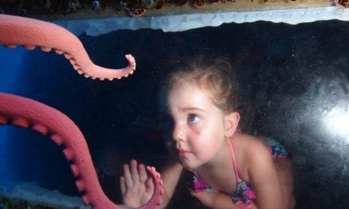Baby Girl Octopus Tail