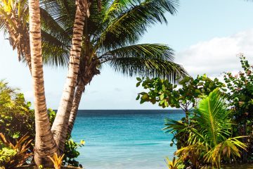 Hawaiian Beach Scenery