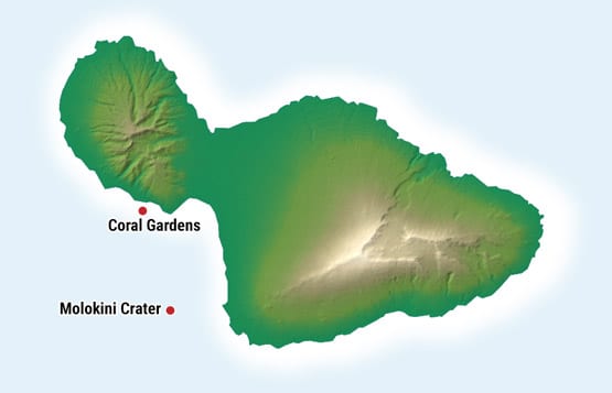 Maui Snorkel Map