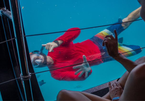 Men On Glass Bottom Room For An Up Close Look At Marine Life