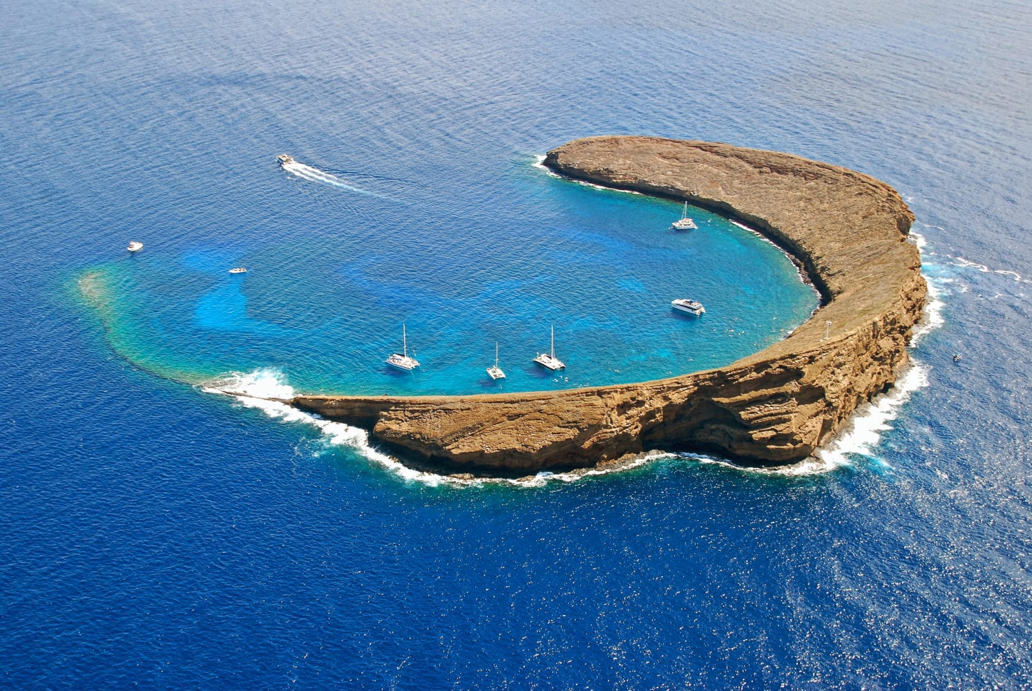 molokini snorkel tours from kaanapali