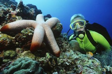 Scuba Diving In Maui
