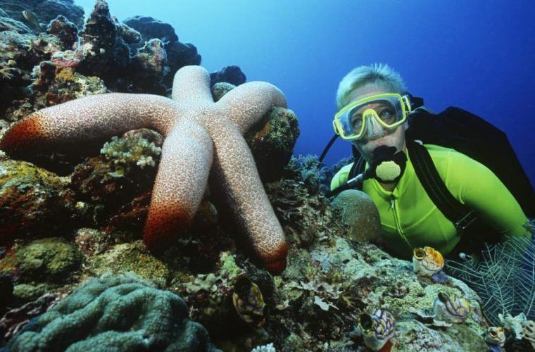 Scuba Diving In Maui