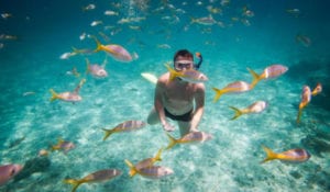 Swimming with fish in Maui