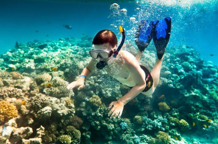 Snorkeling In Maui