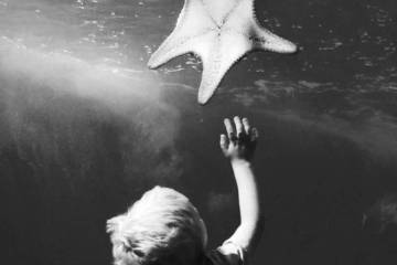 The Boy With Starfish