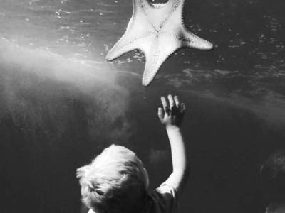 Maui Ocean Center – Maui’s One And Only Aquarium