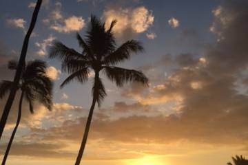 Sunset In Hawaii