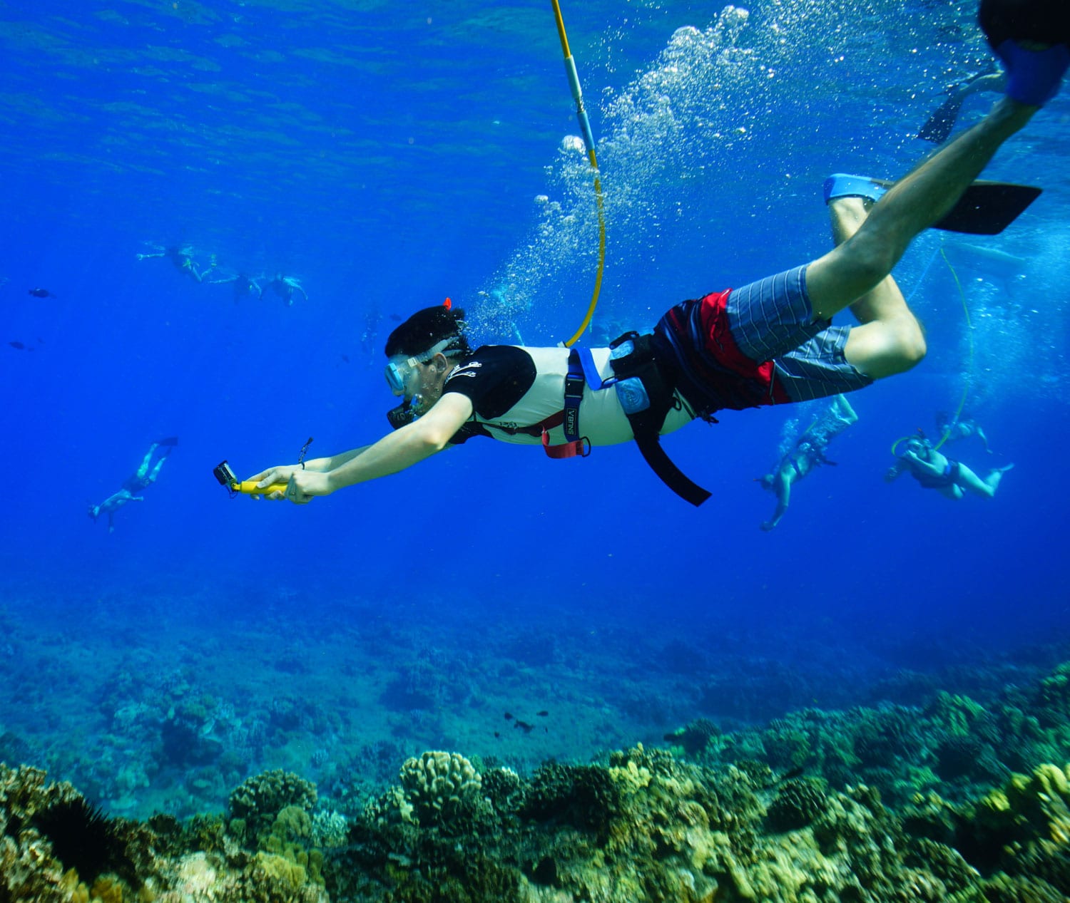 Underwater Photo & Video Services Four Winds Maui Snorkeling